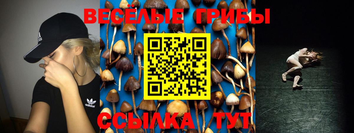 Псилоцибиновые грибы MAGIC MUSHROOMS Великий Устюг